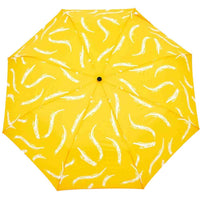 Pinceau safran | Parapluie canard
